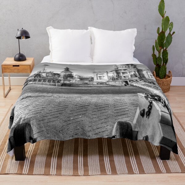 Item preview, Cannons Aiming At Hull City Hall designed and sold by Paul Thompson Photography.