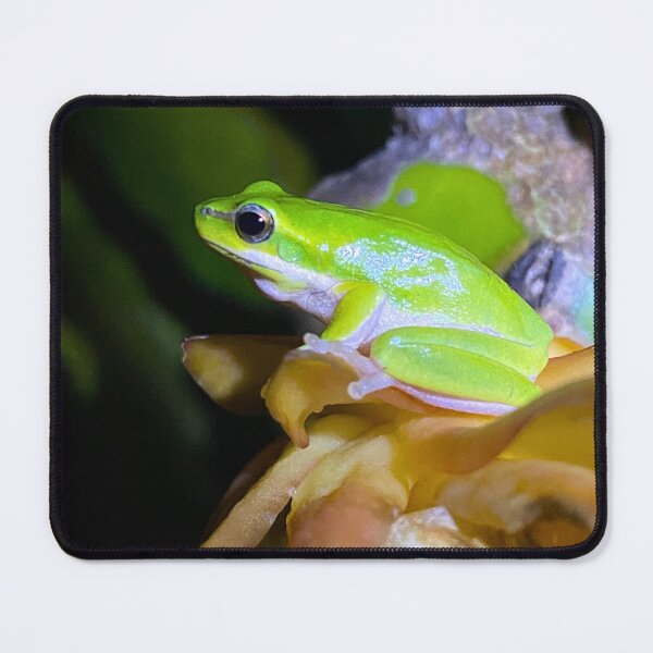Item preview, Little Green Frog designed and sold by CritterCapers.