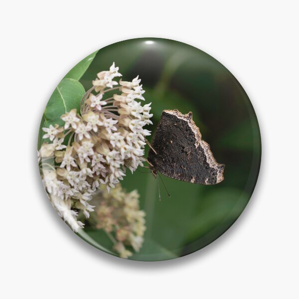 Artikelvorschau, Schmetterling auf Wolfsmilch entworfen und verkauft von sarahjeanphoto.