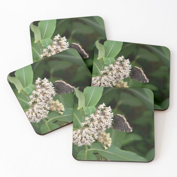 Item preview, butterfly on milkweed designed and sold by sarahjeanphoto.