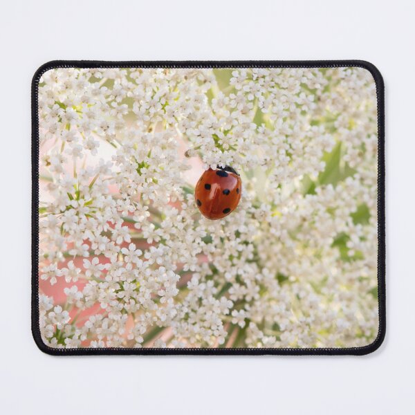 Item preview, lady bug on Queen Anne's lace designed and sold by sarahjeanphoto.