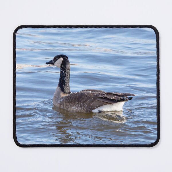 Item preview, Country goose floats on the Mississippi River designed and sold by KRFNatureGifts.