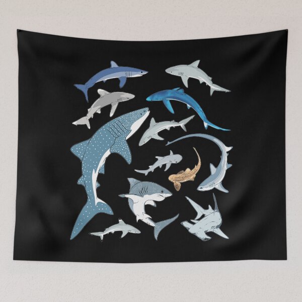 Item preview, Shark species Blue shark Whale shark Hammerhead shark Mako shark designed and sold by NicGrayGraphic.