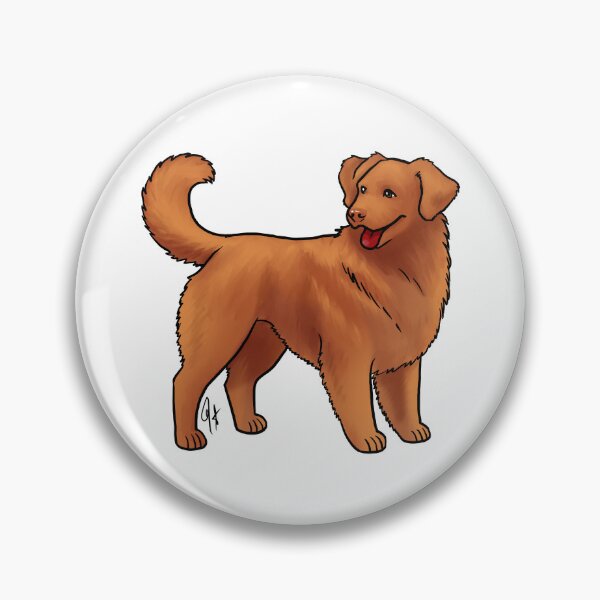 Item preview, Nova Scotia Duck Tolling Retriever - Red designed and sold by Jennifer Stolzer.