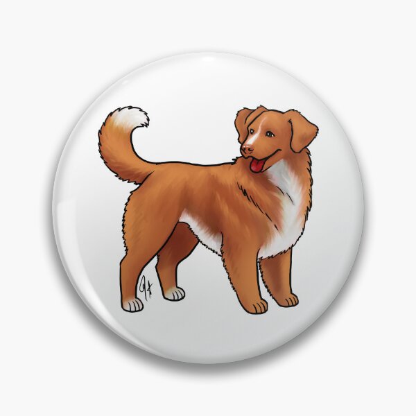 Artikelvorschau, Nova Scotia Duck Tolling Retriever – Rot und Weiß entworfen und verkauft von Jennifer Stolzer.