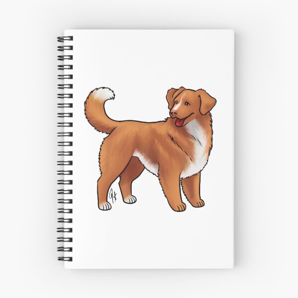 Artikelvorschau, Nova Scotia Duck Tolling Retriever – Rot und Weiß entworfen und verkauft von Jennifer Stolzer.