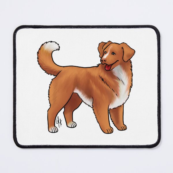 Item preview, Nova Scotia Duck Tolling Retriever - Red and White designed and sold by Jennifer Stolzer.