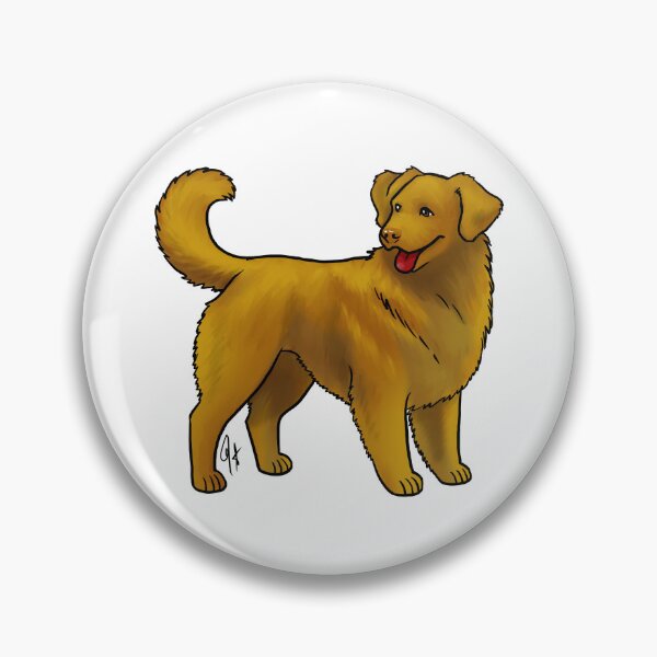 Item preview, Nova Scotia Duck Tolling Retriever - Red Gold  designed and sold by Jennifer Stolzer.