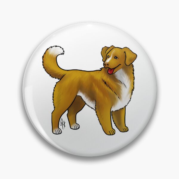 Artikelvorschau, Nova Scotia Duck Tolling Retriever – Rotgold und Weiß entworfen und verkauft von Jennifer Stolzer.