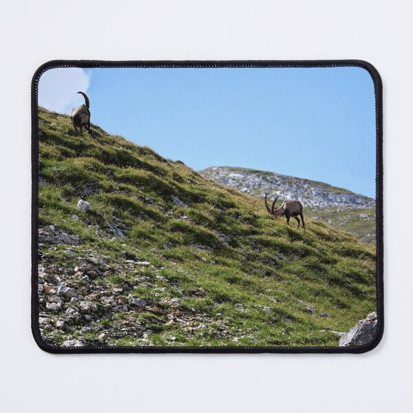 Item preview, "pasture grounds" designed and sold by Andreas Koerner.
