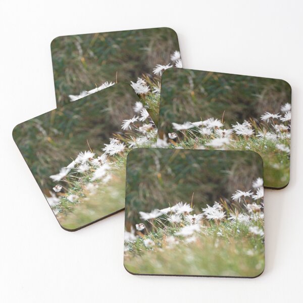 Item preview, "little beauties" designed and sold by Andreas Koerner.