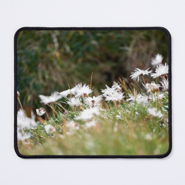Item preview, "little beauties" designed and sold by Andreas Koerner.
