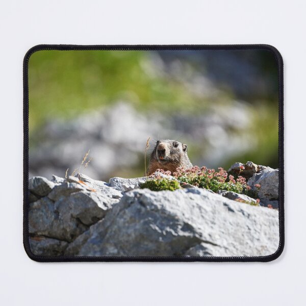 Item preview, "Hello there" designed and sold by Andreas Koerner.