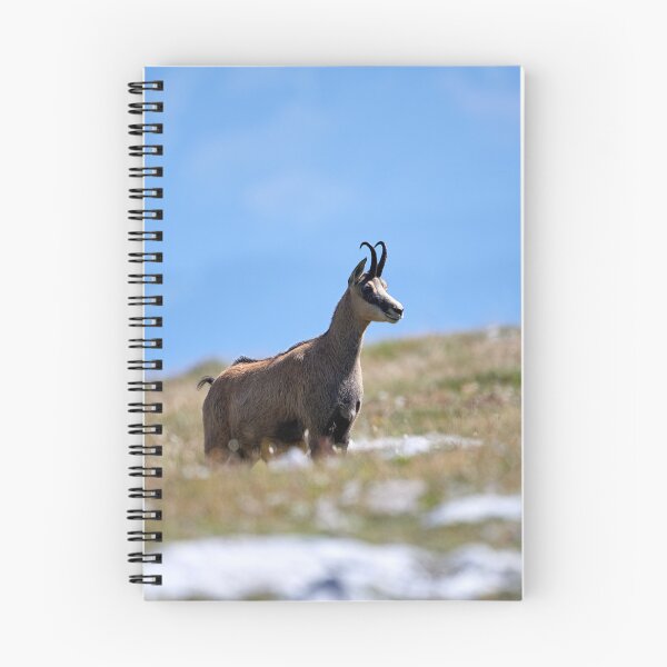 Item preview, "chamois" designed and sold by Andreas Koerner.