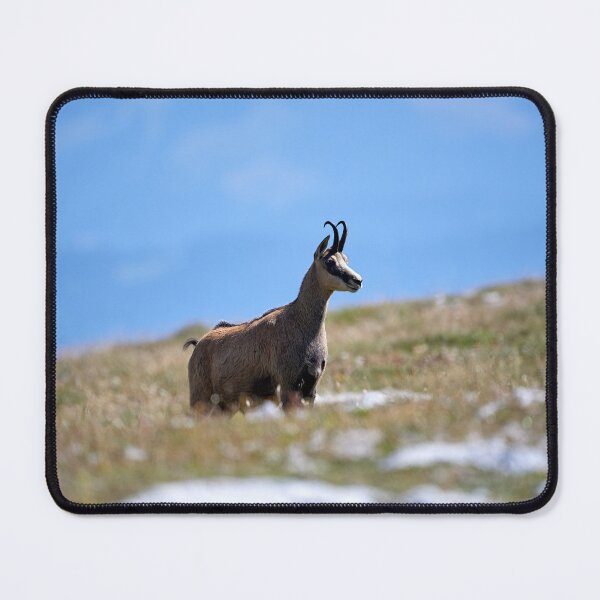 Item preview, "chamois" designed and sold by Andreas Koerner.