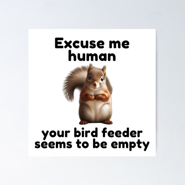 Item preview, Excuse Me Human Your Bird Feeder Seems To Be Empty | Squirrel | Cute Animal | Funny designed and sold by ShopCoolStop.