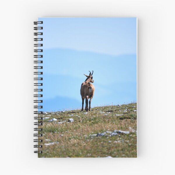 Item preview, "chamois" designed and sold by Andreas Koerner.