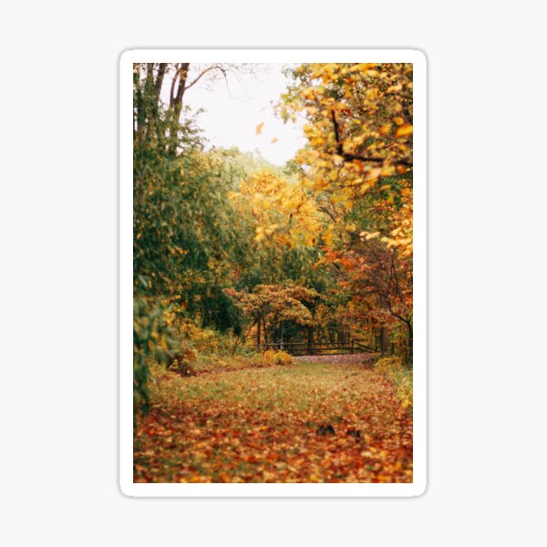 Colorful Wonderland Sticker