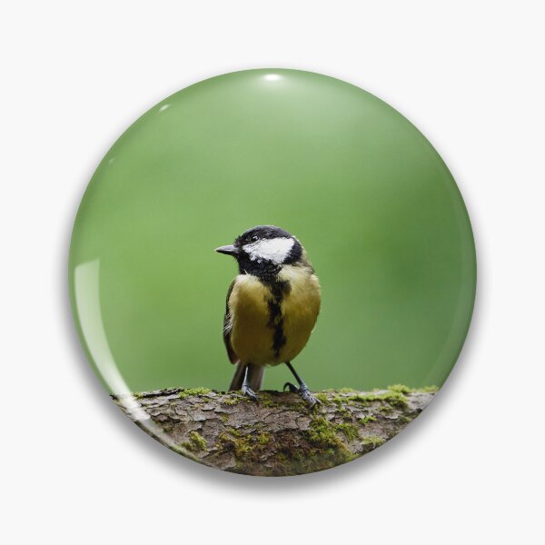 Item preview, "Great Tit (Parus major)" designed and sold by Andreas Koerner.