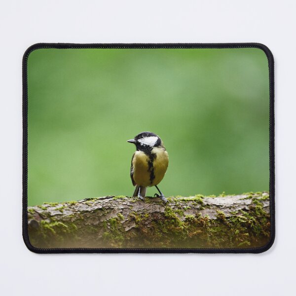 Item preview, "Great Tit (Parus major)" designed and sold by Andreas Koerner.