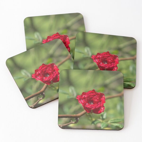 Item preview, Rosebud designed and sold by Lacey Schmidt.