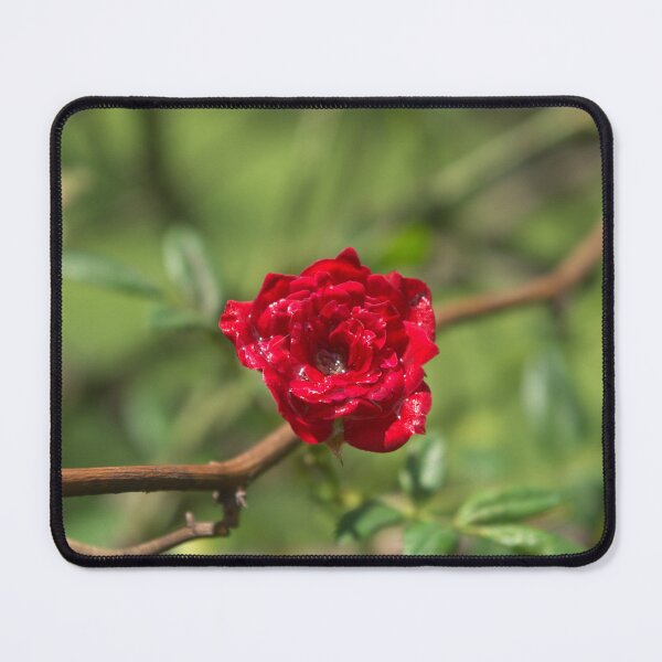 Item preview, Rosebud designed and sold by Lacey Schmidt.