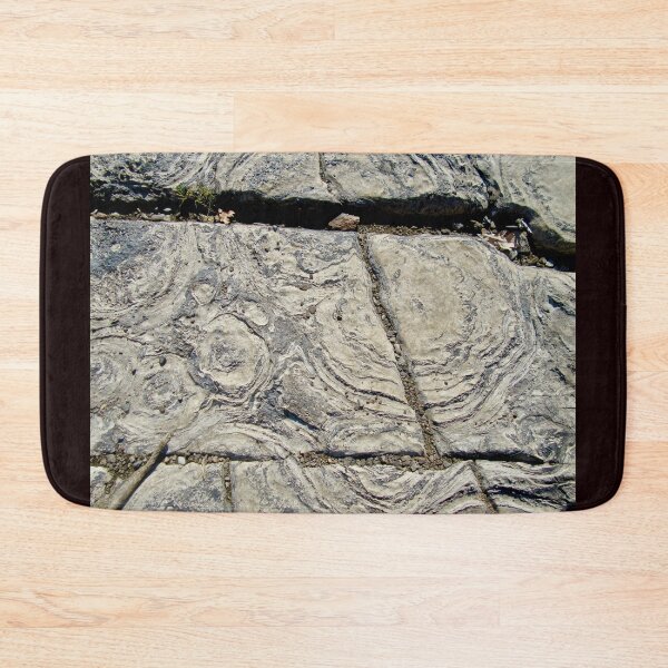 Item preview, More Stromatolites designed and sold by Shulie1.