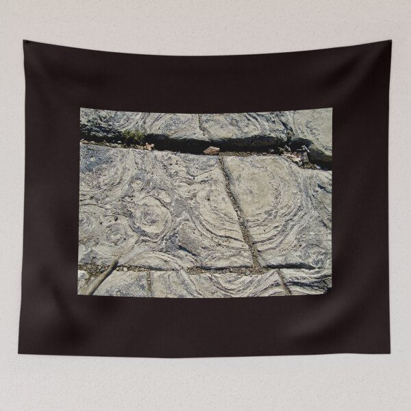 Item preview, More Stromatolites designed and sold by Shulie1.