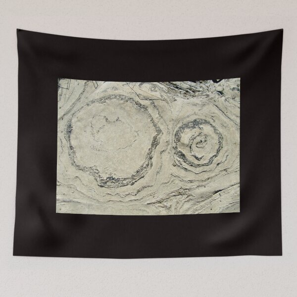 Item preview, More Stromatolites designed and sold by Shulie1.