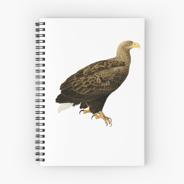 Item preview, White-Tailed Eagle designed and sold by LabFish Creations.