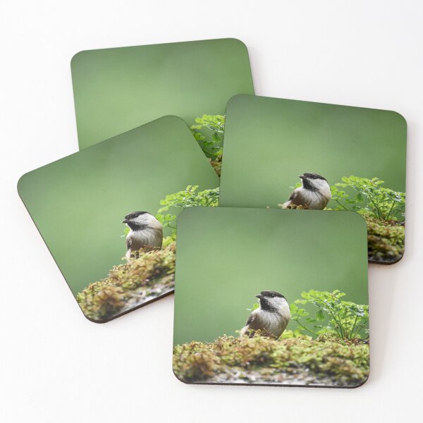 Item preview, Coal Tit (Periparus ater) designed and sold by Andreas Koerner.