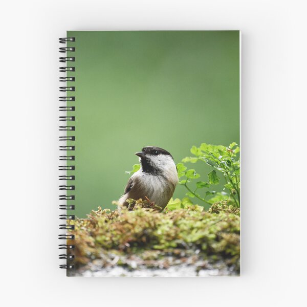 Item preview, Coal Tit (Periparus ater) designed and sold by Andreas Koerner.
