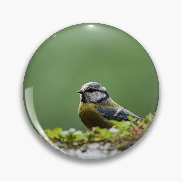 Item preview, Blue Tit (Cyanistes caeruleus) designed and sold by Andreas Koerner.