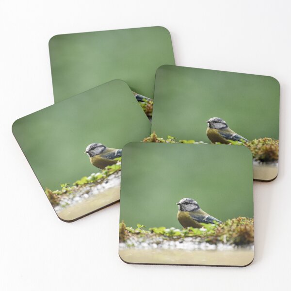 Item preview, Blue Tit (Cyanistes caeruleus) designed and sold by Andreas Koerner.