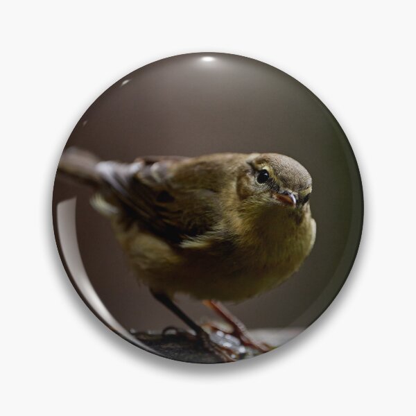 Item preview, Chiffchaff (Phylloscopus collybita) designed and sold by Andreas Koerner.