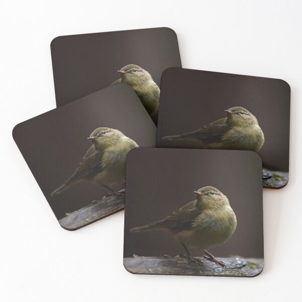 Item preview, Chiffchaff (Phylloscopus collybita) designed and sold by Andreas Koerner.