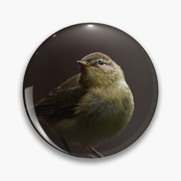 Item preview, Chiffchaff (Phylloscopus collybita) designed and sold by Andreas Koerner.