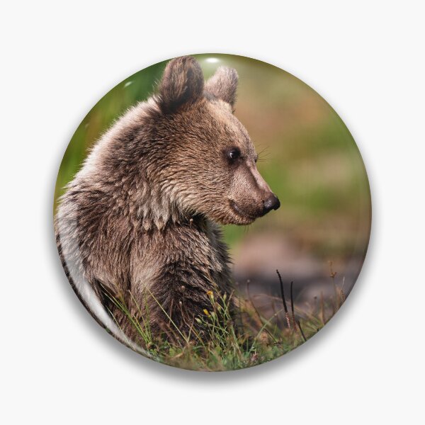 Item preview, European brown bear (Ursus arctos arctos) designed and sold by Andreas Koerner.