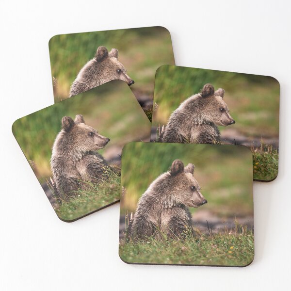 Item preview, European brown bear (Ursus arctos arctos) designed and sold by Andreas Koerner.