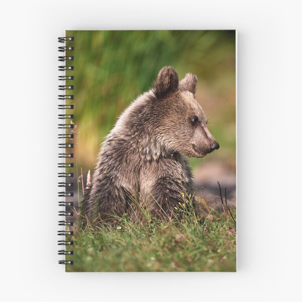 Item preview, European brown bear (Ursus arctos arctos) designed and sold by Andreas Koerner.