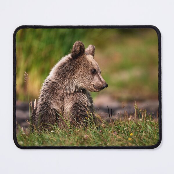 Item preview, European brown bear (Ursus arctos arctos) designed and sold by Andreas Koerner.