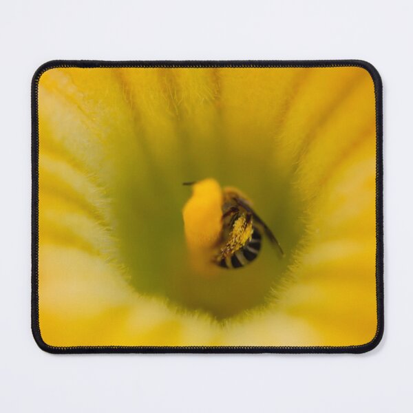 Item preview, bee in yellow flower, pollen designed and sold by sarahjeanphoto.