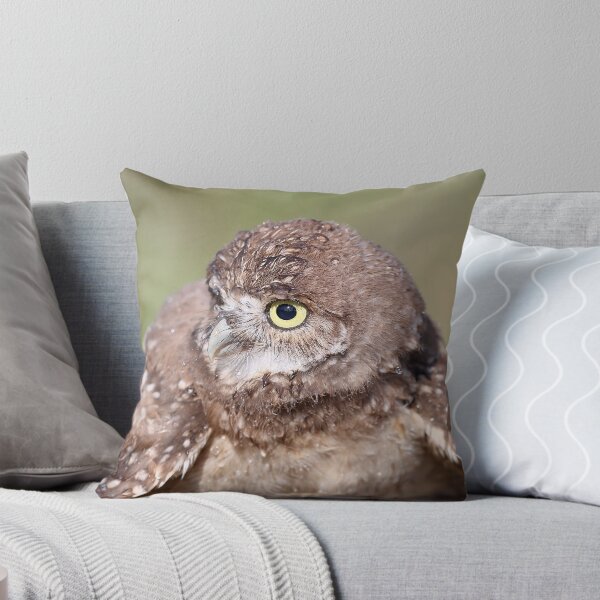Item preview, Owlet designed and sold by mlorenz.