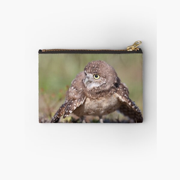 Item preview, Owlet designed and sold by mlorenz.