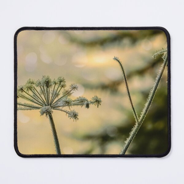 Item preview, Winterland 4 designed and sold by Veikko Suikkanen.