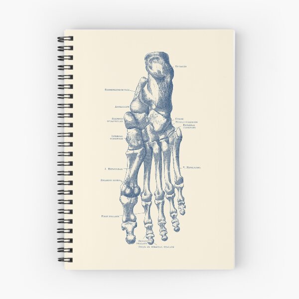 Item preview, Left Foot Skeletal Diagram designed and sold by VAposters.
