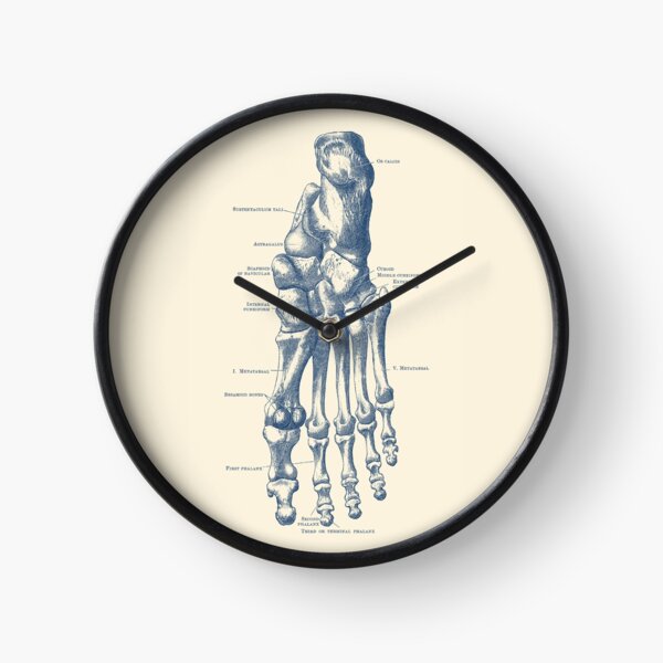 Item preview, Left Foot Skeletal Diagram designed and sold by VAposters.