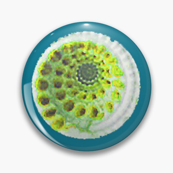 Item preview, Sundial Shell Polka Dot in Teal designed and sold by LisaLeQuelenec.