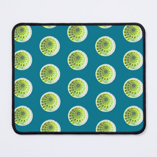 Item preview, Sundial Shell Polka Dot in Teal designed and sold by LisaLeQuelenec.