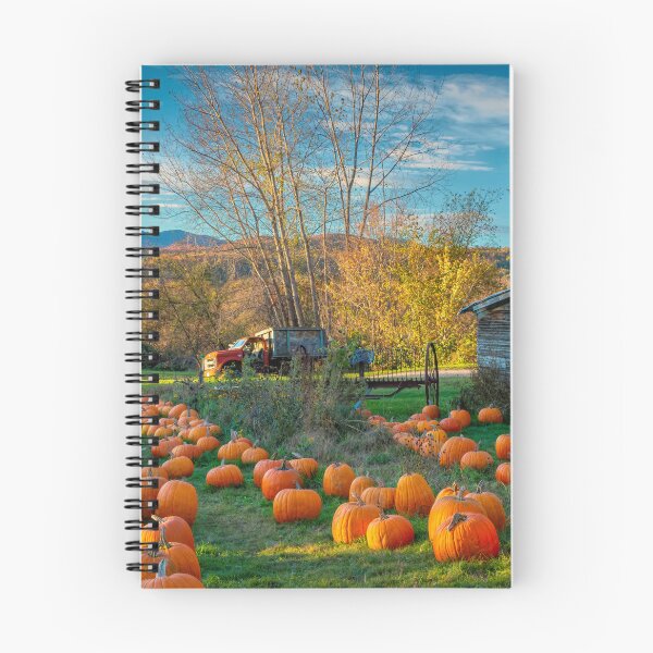 Item preview, The Pumpkin Field designed and sold by Viv Thompson Photography .